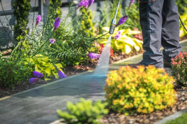 Best Parking Lot Cleaning in Saylorville, IA